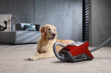 Réparation aspirateur Miele Québec ville